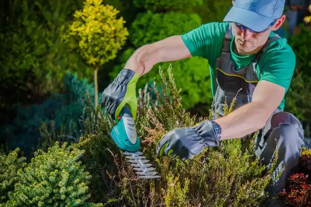 landscaping services Bethpage